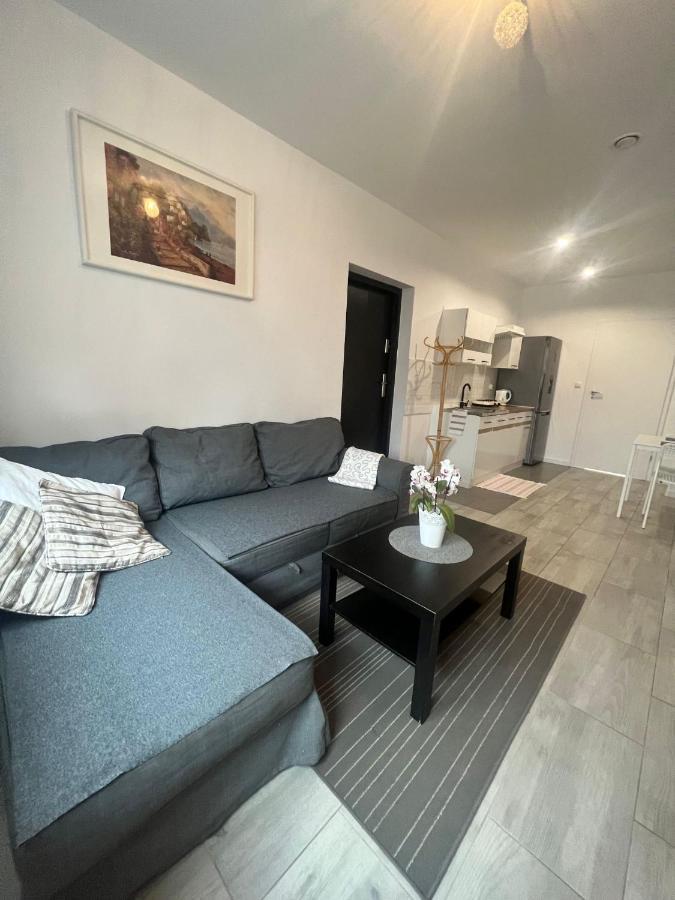 Apartament Wrzosowa Кудова-Здруй Экстерьер фото